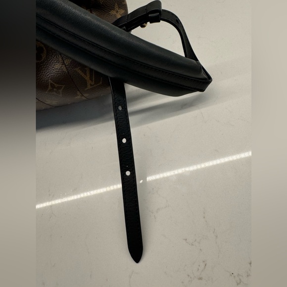 Louis Vuitton Palm Springs MM bag backpack - Picture 7 of 16